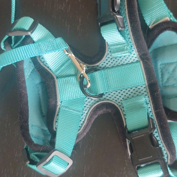 Rabbitgoo animal leash - Picture 6 of 6